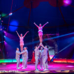 0014_circus-krone-2025_index-17102