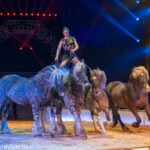 0036_circus-krone-2025_index-9981