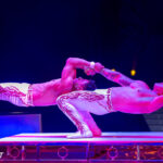 0064_circus-krone-2025_index-0361