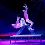 0067_circus-krone-2025_index-0458