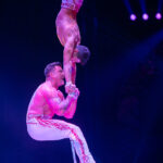 0071_circus-krone-2025_index-0490
