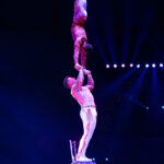 0072_circus-krone-2025_index-0498