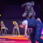 0079_circus-krone-2025_index-0574