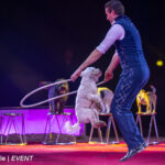 0080_circus-krone-2025_index-0611