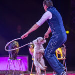 0081_circus-krone-2025_index-0615