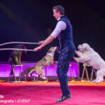 0082_circus-krone-2025_index-0622
