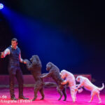 0087_circus-krone-2025_index-0703