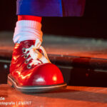 0119_circus-krone-2025_index-1099