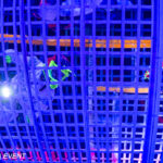 0143_circus-krone-2025_index-1644