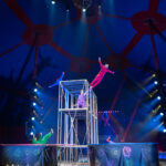 0146_circus-krone-2025_index-19832