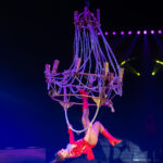 0157_circus-krone-2025_index-1845