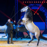 0178_circus-krone-2025_index-2148