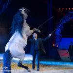 0182_circus-krone-2025_index-2204