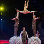 0224_circus-krone-2025_index-2849