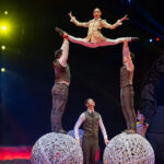 0225_circus-krone-2025_index-2851