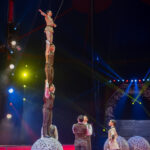 0229_circus-krone-2025_index-23172