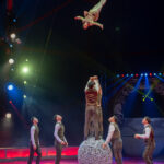 0231_circus-krone-2025_index-23552